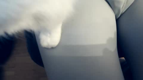 111mh online show from 04.04.26