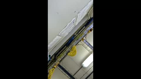 1971berliner online show from 02.24.26