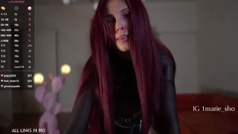 Snapshot of 1mari_01 chatting on 01.17.26 Marie online show from 01.17.26