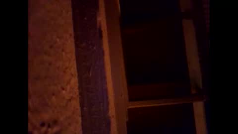 1st___ online show from 03.01.26