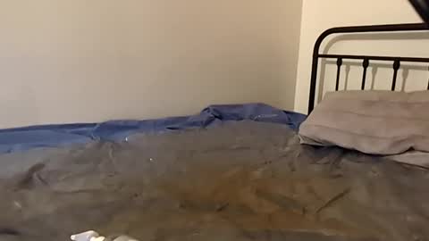 1toxiclust online show from 11.29.25