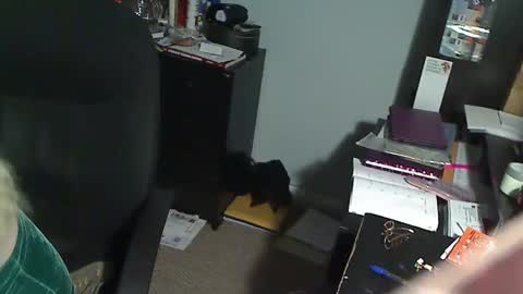 Susan online show from 12.19.25