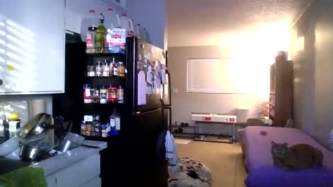 Snapshot of 2gorls1link chatting on 12.31.24 2girls1link online show from 12.31.24