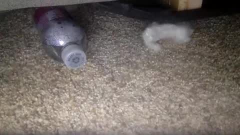 30nick online show from 02.10.26