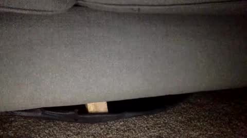 30nick online show from 02.25.26