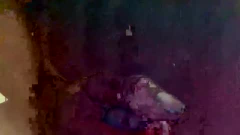 Snapshot of 4utootrynow859326 chatting on 03.02.26 4utootry online show from 03.02.26