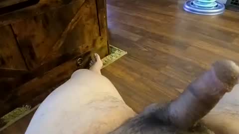 Snapshot of 5tone_bon3 chatting on 01.20.25 5tone_bon3 online show from 01.20.25