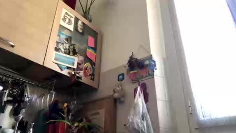 Snapshot of 6990fiko chatting on 03.04.25 6990fiko online show from 03.04.25