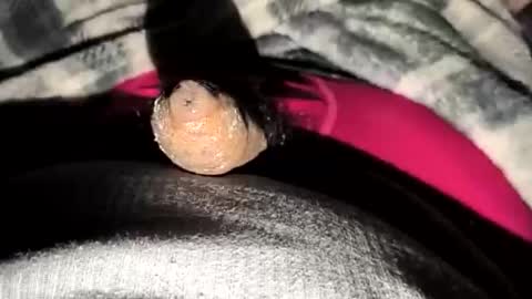 69angel96 online show from 12.23.25