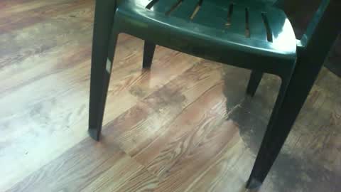 69forever453443 online show from 09.15.25