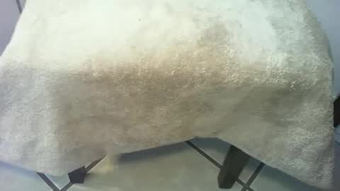 69forever453443 online show from 03.15.26