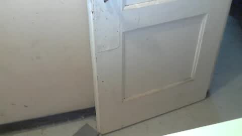 69pifpaf online show from 12.19.25