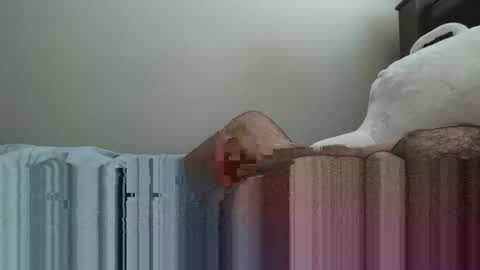 6boss498491 online show from 02.23.26