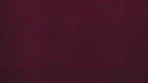 Snapshot of 777_brendi_777 chatting on 01.31.25 Brendi online show from 01.31.25