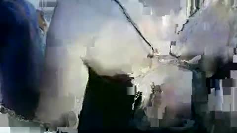 Lilu online show from 01.12.26