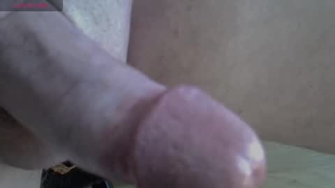 Snapshot of 81_harterschwanz chatting on 11.13.25 Maximilian Max online show from 11.13.25