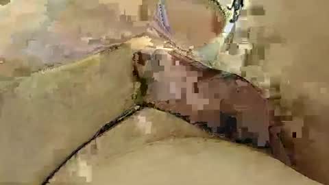 8385 online show from 03.03.25