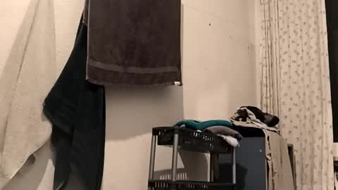 88piterr88 online show from 02.25.26