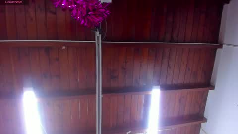 Any online show from 02.28.25