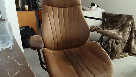 Snapshot of _black_lotus chatting on 02.02.25 _black_lotus online show from 02.02.25