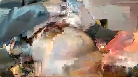 Ginger boy online show from 02.09.25