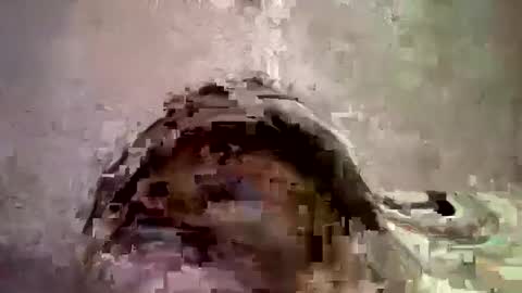 Snapshot of _hershey003 chatting on 01.11.25 _hershey003 online show from 01.11.25