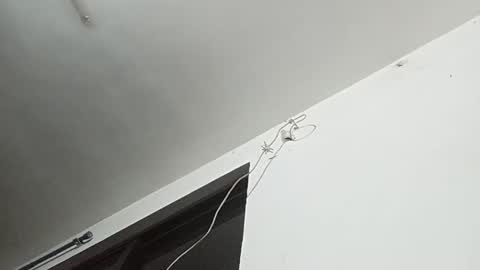 _iluvatar_ online show from 02.26.26