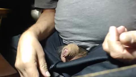 _jimmini online show from 11.01.25