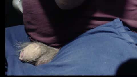 Snapshot of _jimmini chatting on 02.12.26 _jimmini online show from 02.12.26