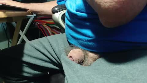 _jimmini online show from 04.04.26