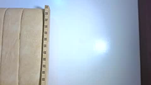 Snapshot of _littlevenus chatting on 02.03.26 Littlevenus online show from 02.03.26