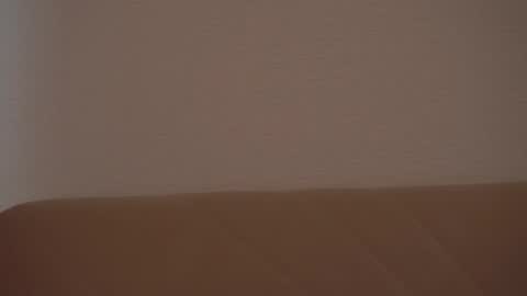 Snapshot of _lovelyen chatting on 11.01.25 Alice online show from 11.01.25