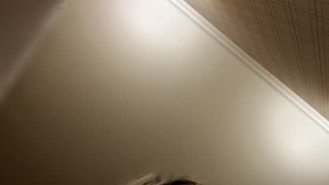 Francine Aisi Morpho - a genus of blue butterflies. online show from 12.21.25