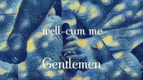 Evi online show from 02.22.25