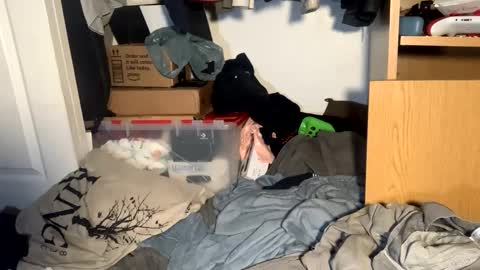 Matt snap - mattdillon1995 online show from 09.18.25