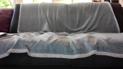 Snapshot of a_nice_dick_77 chatting on 02.07.25 a_nice_dick_77 online show from 02.07.25