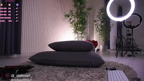 Snapshot of abbela_white chatting on 01.11.25 Alexa online show from 01.11.25