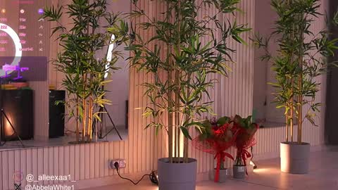 Snapshot of abbela_white chatting on 02.03.25 Alexa online show from 02.03.25