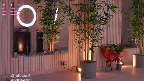 Snapshot of abbela_white chatting on 02.04.25 Alexa online show from 02.04.25