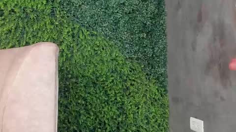 A B B Y online show from 02.11.25