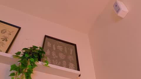 A B B Y online show from 02.23.26