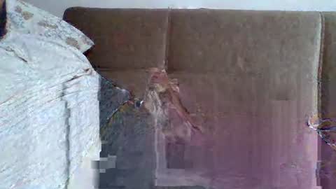 abdil_34 online show from 02.05.25