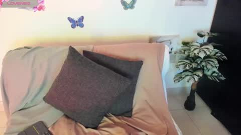 abi online show from 01.04.25