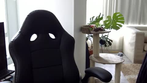 adam_evehotroom online show from 10.15.25