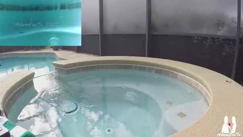 Adam And Eve online show from 11.29.25