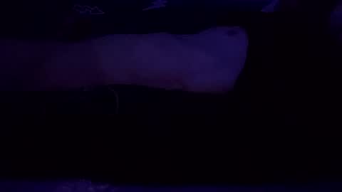 adamllamas online show from 03.08.25