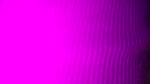 adamllamas online show from 09.15.25