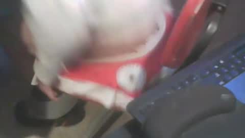 adamsny online show from 01.20.25