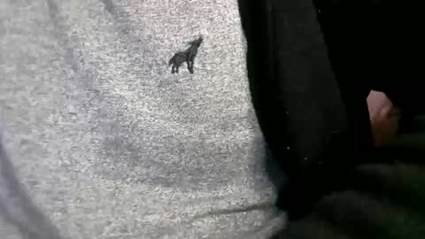 adarkvid420tj online show from 02.18.26