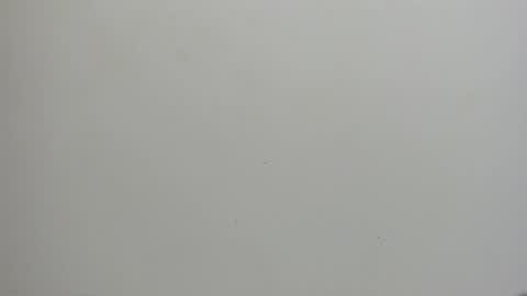 adbel sady online show from 01.15.25